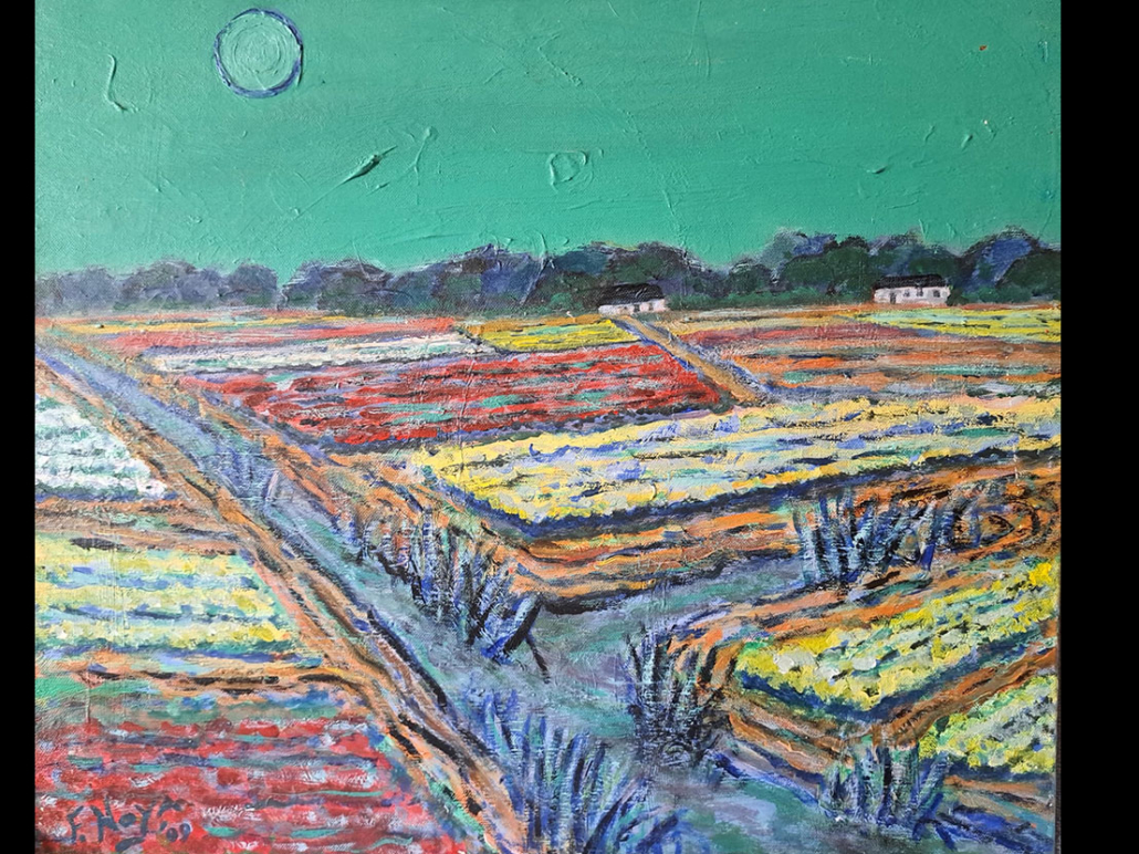 Bollenvelden bij volle maan Bollenvelden bij volle maan